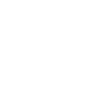 nyva_logo_white